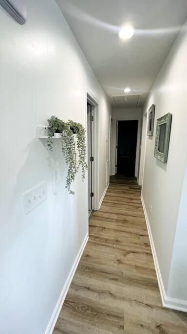 Modern Home Near Uptown Clt, Airport And More Charlotte Luaran gambar